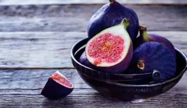 United States' Fig Market Forecast Shows Slowing 0.2% Volume CAGR Through 2035 - News and Statistics