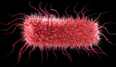 All Life on Earth Shares an Ancestor – And Some of Our Genes Predate It : ScienceAlert