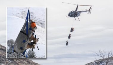 Cowboy State Daily logo