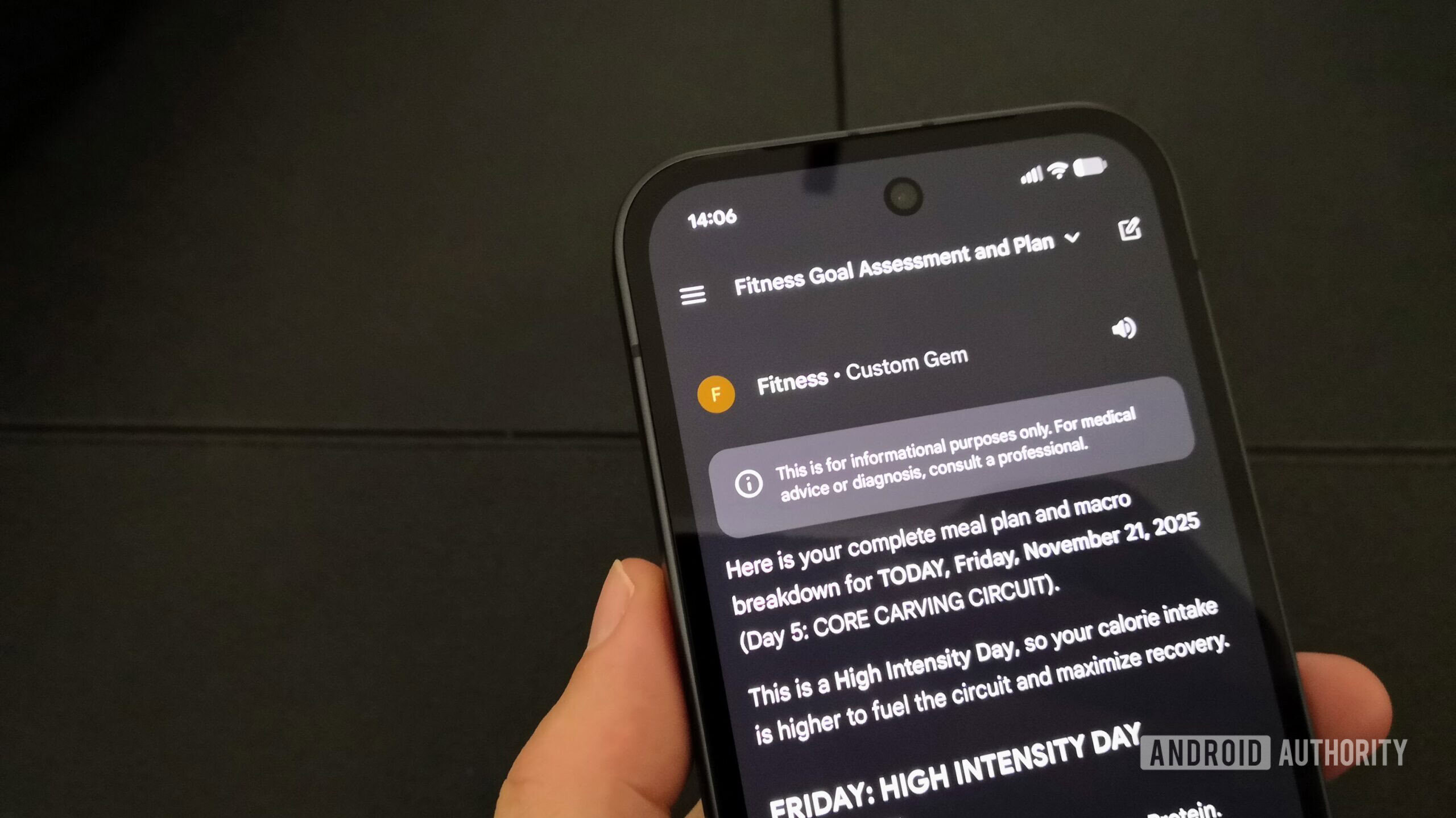 Gemini fitness coach