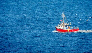 Over 90 California Fish Stocks Almost Totally Rebuilt Thanks to Trawling Ban, Other Measures