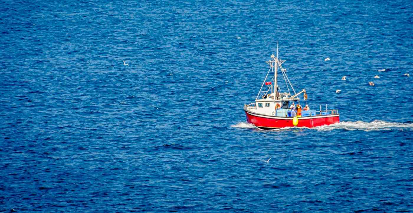 Over 90 California Fish Stocks Almost Totally Rebuilt Thanks to Trawling Ban, Other Measures