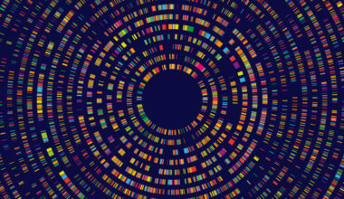 multicolored fluorescent bands from DNA sequencing arranged in a series of concentric circles.