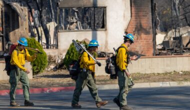 Trump’s new Wildland Fire Service is failing to ignite