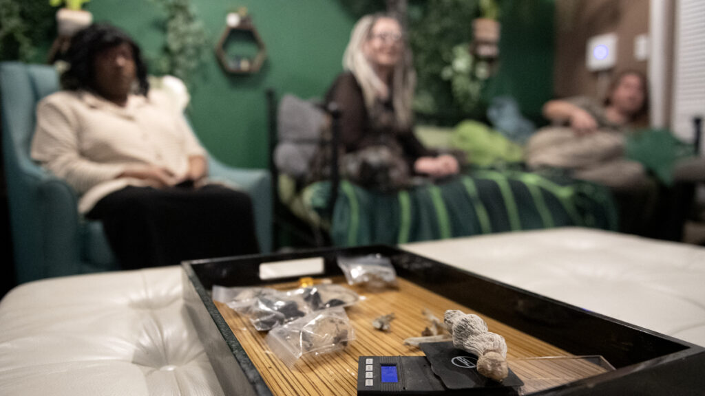 What I learned from psychedelics: The guides, not the drug, are key