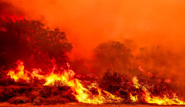 The Gifford Fire burns through 30,000 acres in Los Padres National Forest near Santa Maria, Calif., on Aug. 2, 2025. Credit: Benjamin Hanson/Middle East Images/AFP via Getty Images