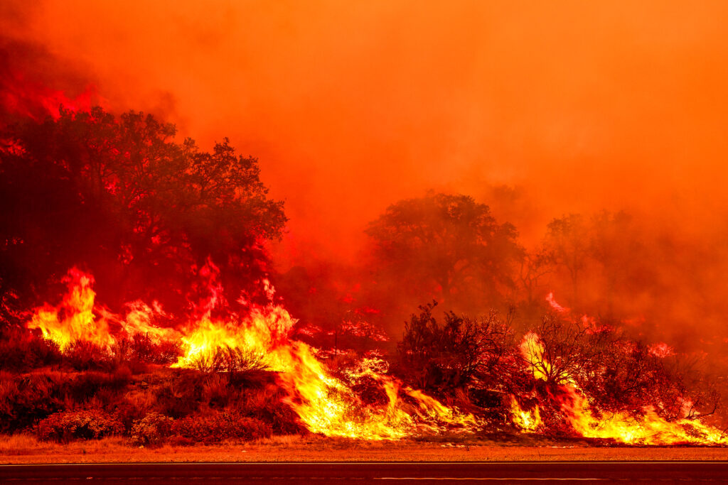 The Gifford Fire burns through 30,000 acres in Los Padres National Forest near Santa Maria, Calif., on Aug. 2, 2025. Credit: Benjamin Hanson/Middle East Images/AFP via Getty Images