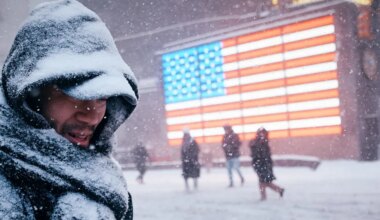 Trash And Wood Accounted For Major ‘Renewable Energy’ Share During Winter Storm, Reports Show