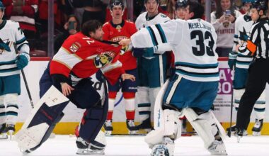 What happens when NHL goalies decide to fight — and is there an unwritten code?