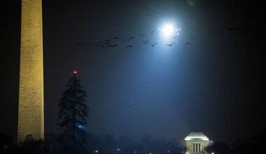 U.S. Reportedly Sends Asylum Seekers to Cameroon in Secret