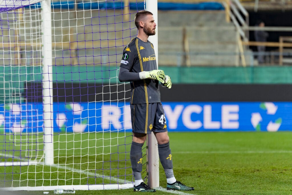 David de Gea stands at the post, in Fiorentina kit