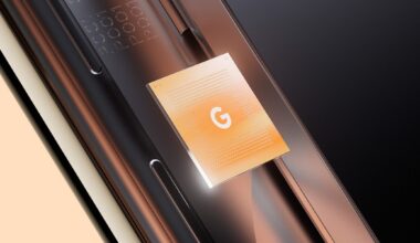 Long Story Short, Don't Steal Google Tensor Tech