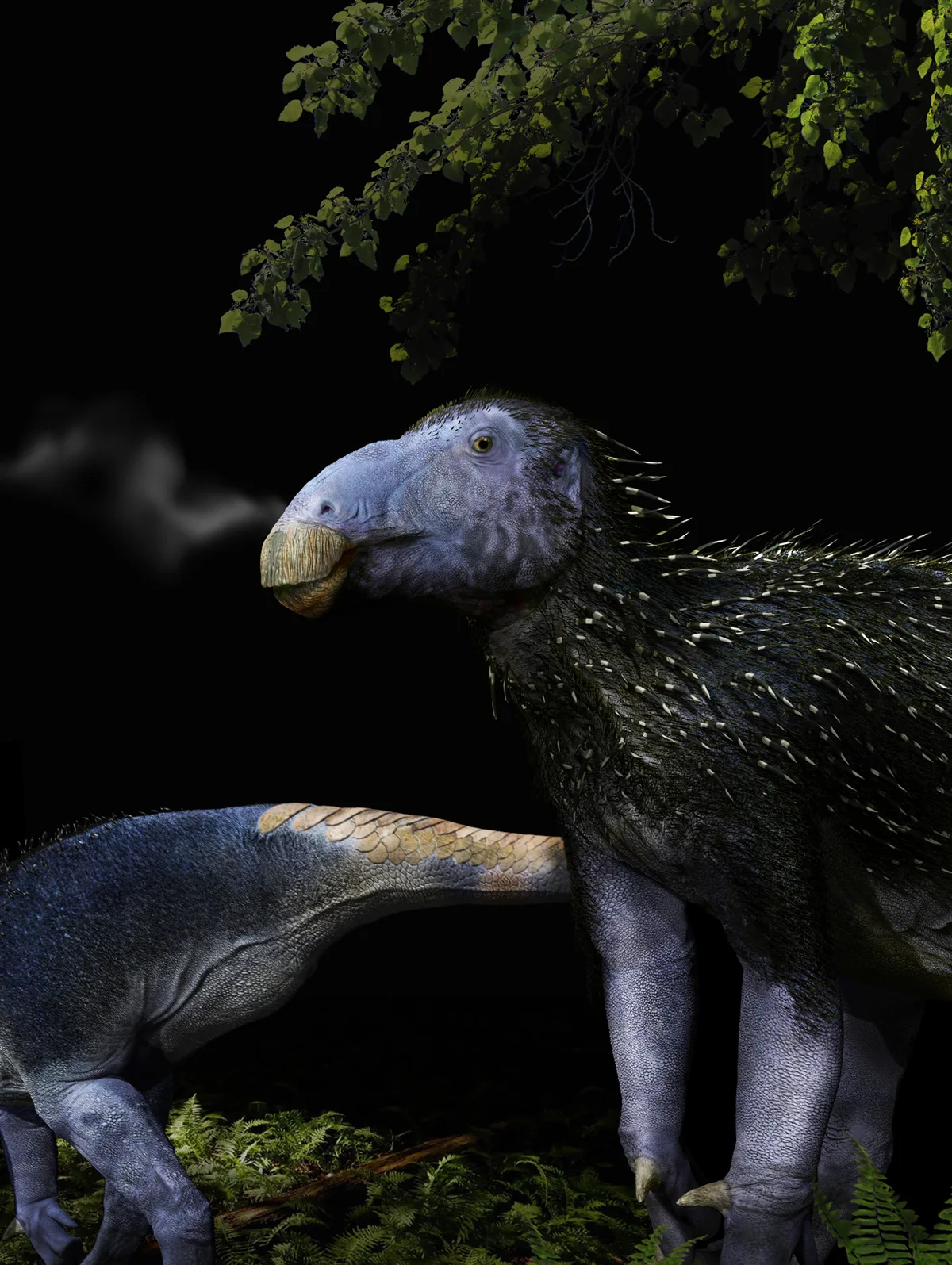 Haolong dongi artist reconstruction