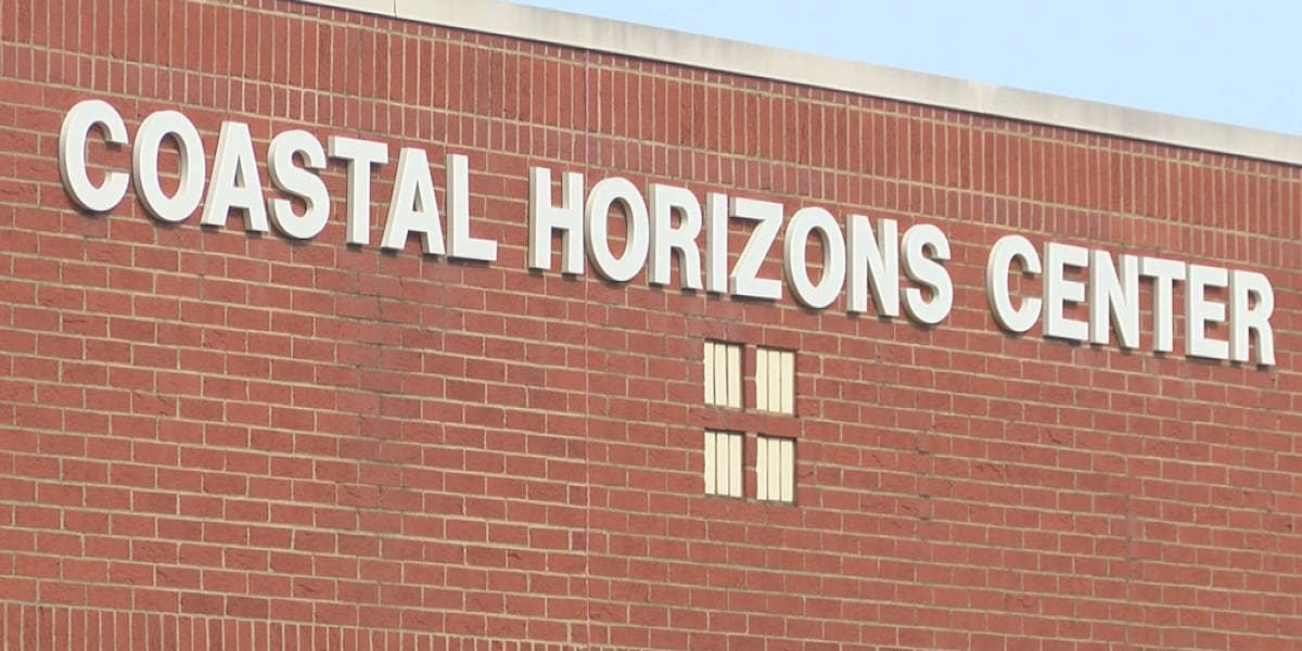 Coastal Horizons sees high demand as state releases year-one progress report