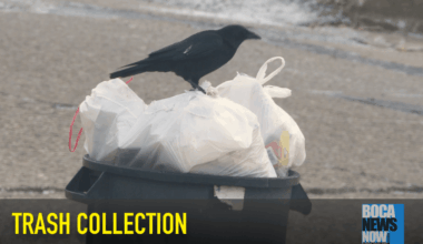 Trash Collection