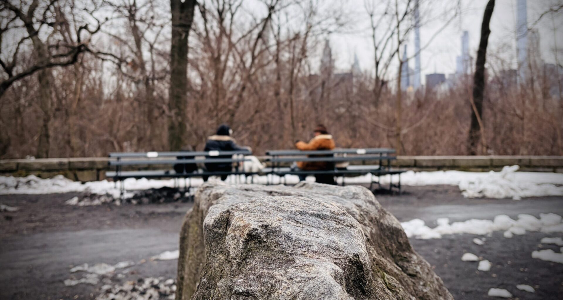 All That the Ice Leaves Behind