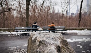 All That the Ice Leaves Behind