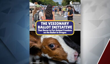 The group In Defense of Animals supports a far-reaching ballot anti-hunting and fishing initiative proposed in Oregon.