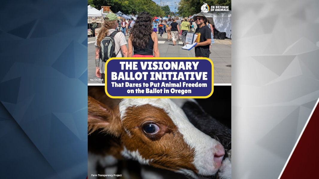 The group In Defense of Animals supports a far-reaching ballot anti-hunting and fishing initiative proposed in Oregon.