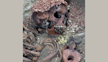 This May Be the Oldest Known Victim of a Bear Attack—and It’s Brutal