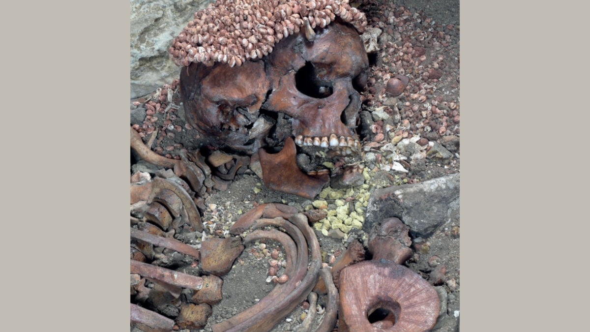 This May Be the Oldest Known Victim of a Bear Attack—and It’s Brutal