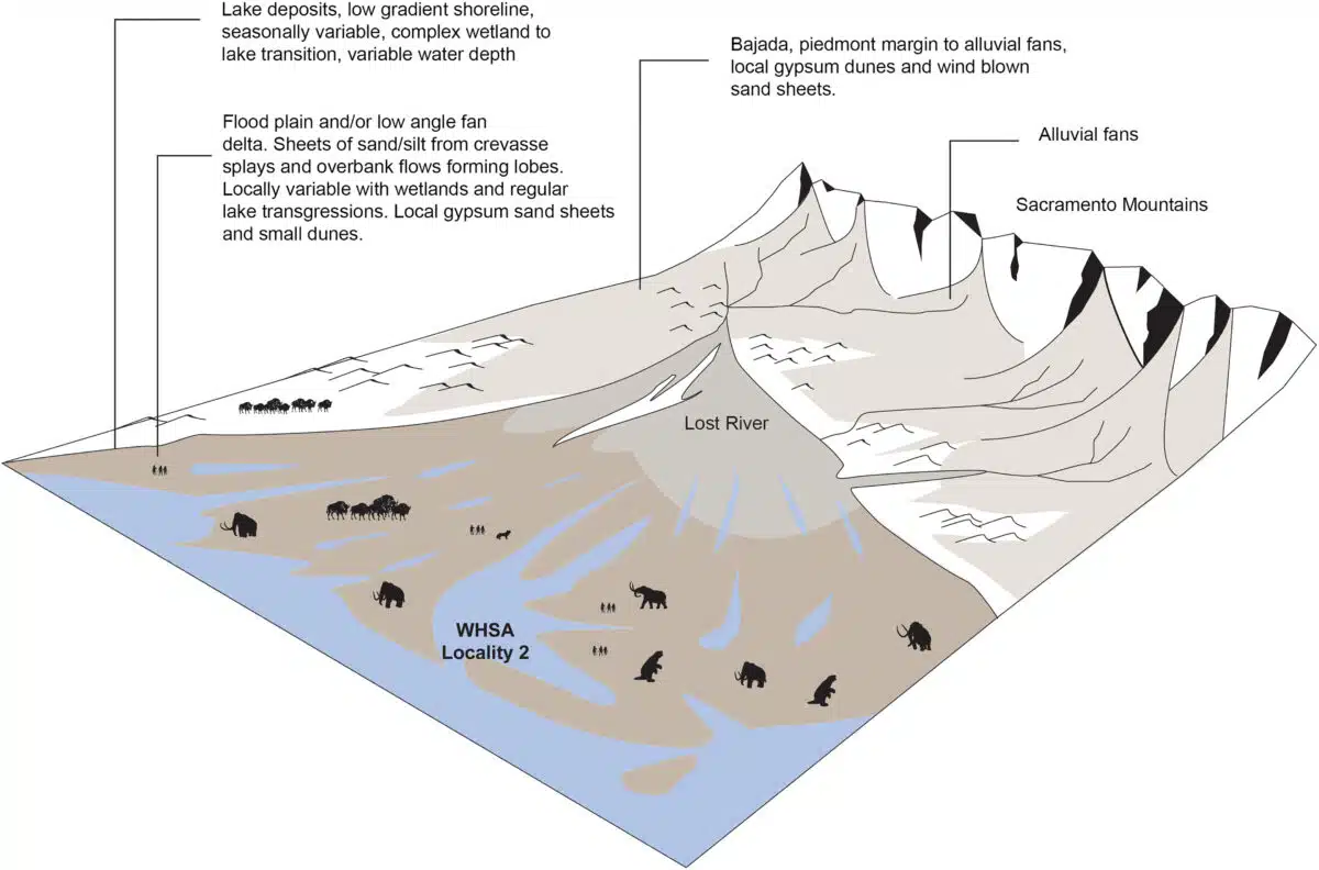 Illustrated Map Of White Sands With Human And Mammoth Tracks, Revising Human Arrival In The Americas.