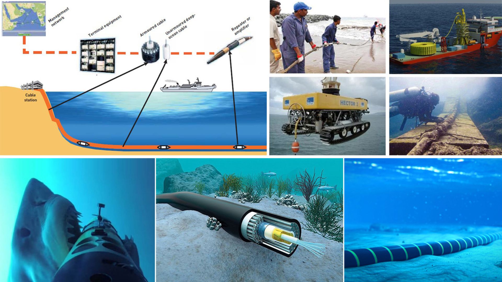 Submarine cables that support the global internet can detect earthquakes, tsunamis, and even whales using fiber optics and DAS technology.