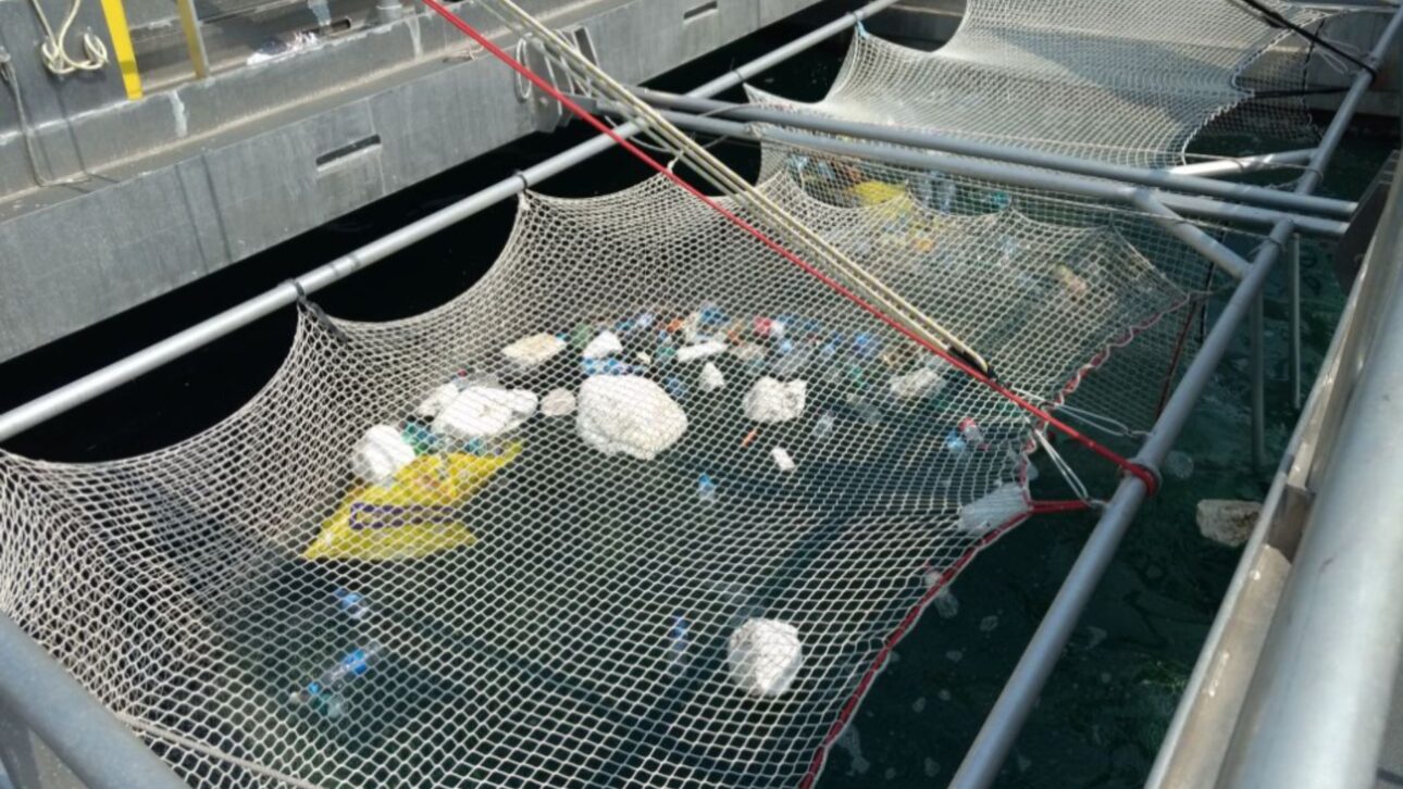 German marine cow-ship collects up to 2 tons of plastic per trip and offers an ongoing river and sea cleaning service.