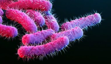 Bacteria causing intense stomach complications sees uptick in Broome County