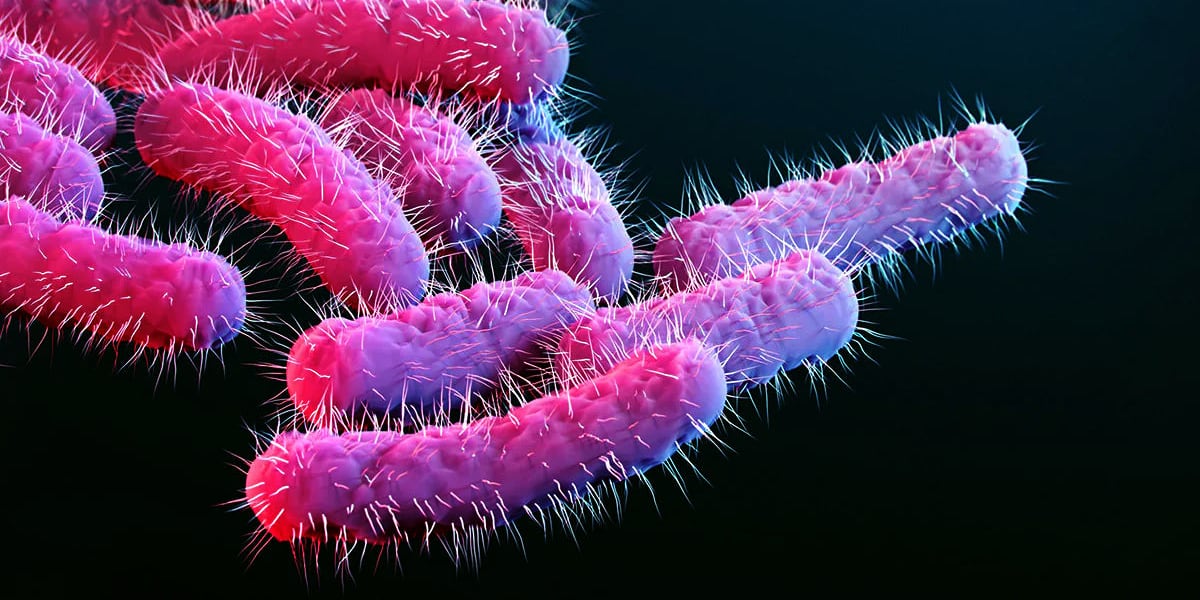 Bacteria causing intense stomach complications sees uptick in Broome County