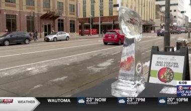 Appleton's College Avenue showcases ice sculptures with Wisconsin flair