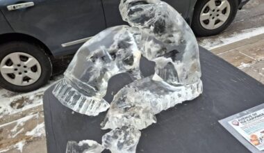 Appleton's College Avenue showcases ice sculptures with Wisconsin flair