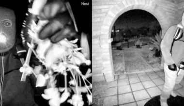 Family ruled out as suspects in Nancy Guthrie disappearance