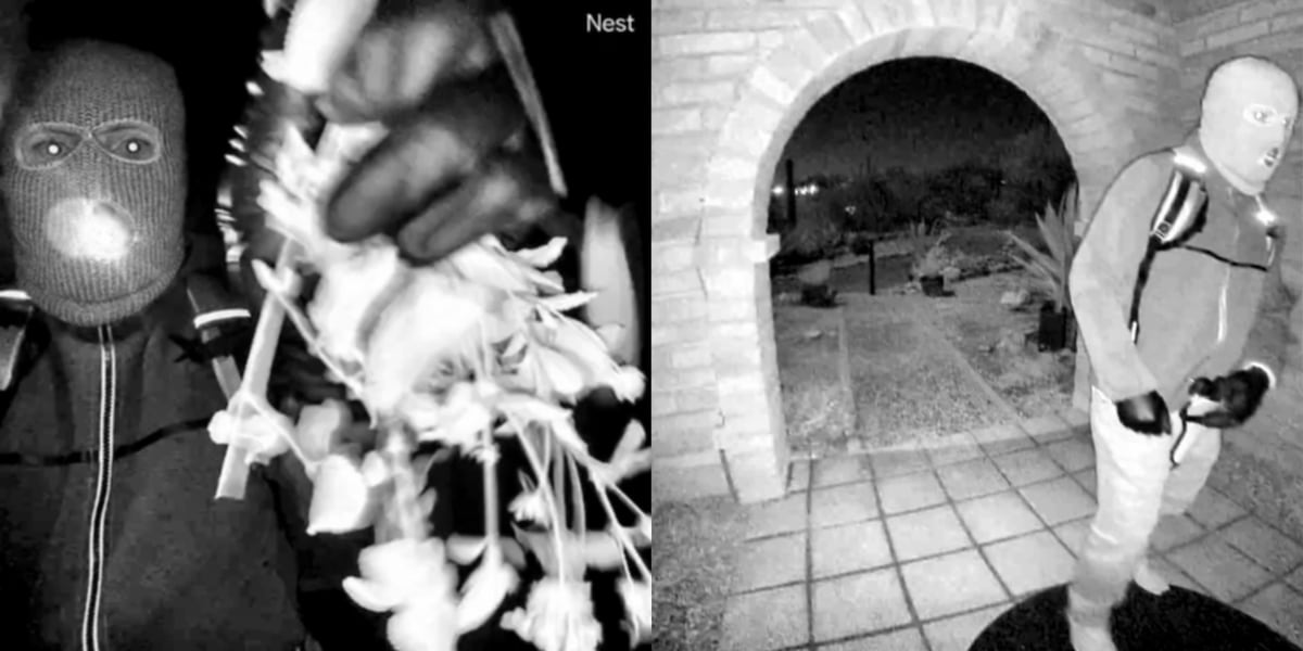 Family ruled out as suspects in Nancy Guthrie disappearance