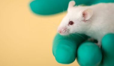 A close up image of a white mouse with red eyes and a pink nose sitting in a right hand wearing a green latex glove, all against a tan background