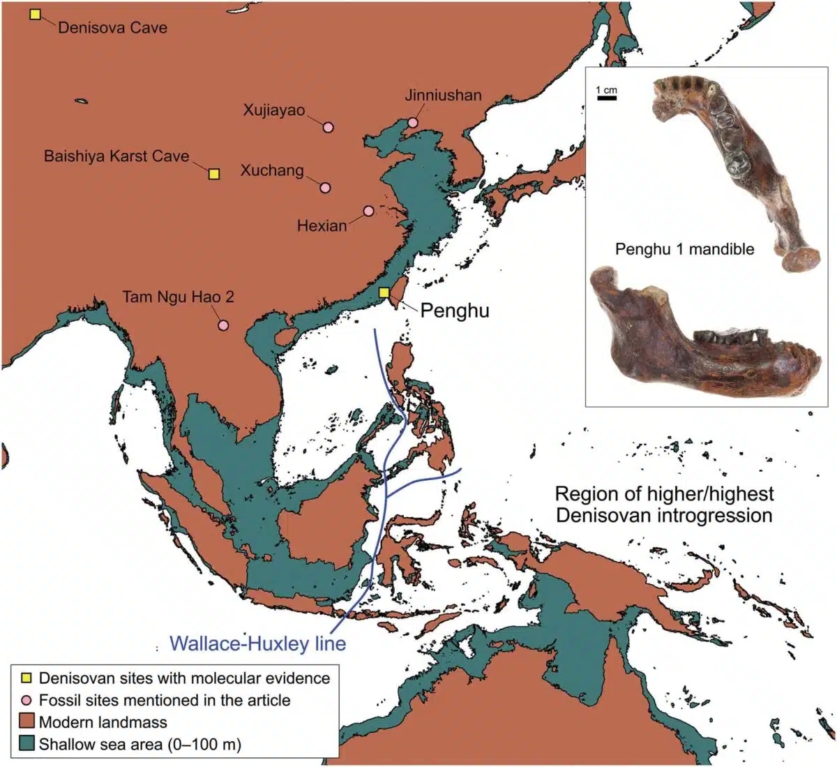 Map Showing Key Denisovan Fossil Sites With Molecular Evidence, Including The Newly Discovered Penghu Site Off Taiwan