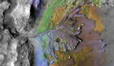 Mars As A Tropical Haven Rocks Discovered By Perseverance Prove It Was Once Warm And Wet