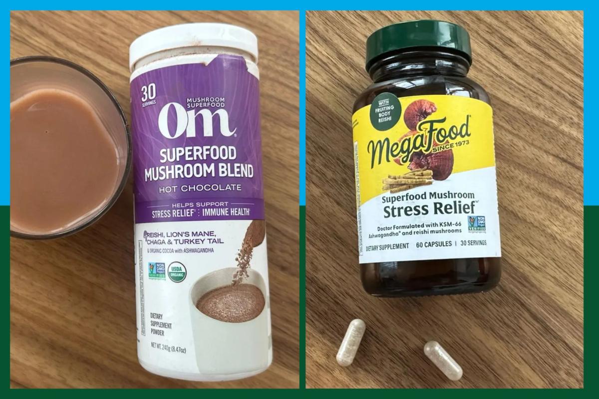 9 of the best expert-backed mushroom supplements