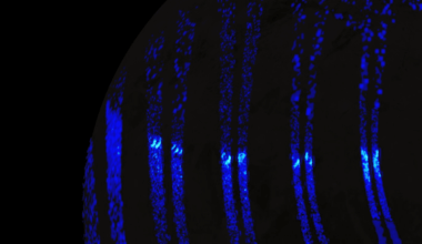 Nasa Reveals Stunning New Details About Ganymede’s Aurora