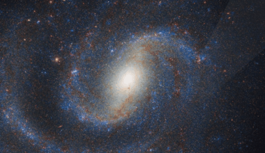 Nasa’s Webb Telescope Locates Star That Exploded In Nearby Galaxy 40 Million Years Ago