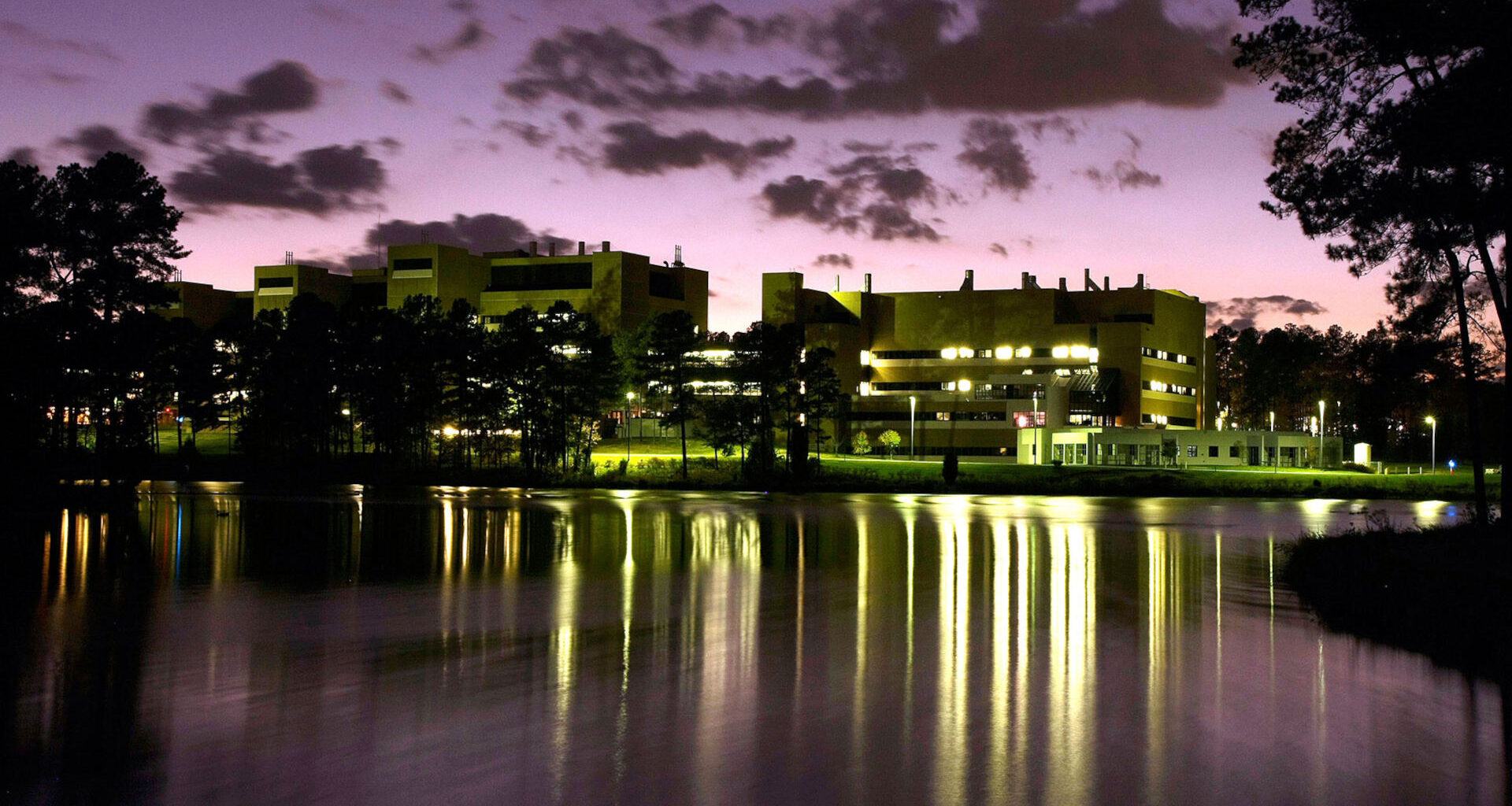 The Unlikely New Director of U.S. Environmental Health Research