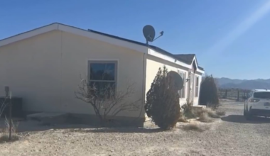 Southern Nevada family concerned about cougar prowling around property