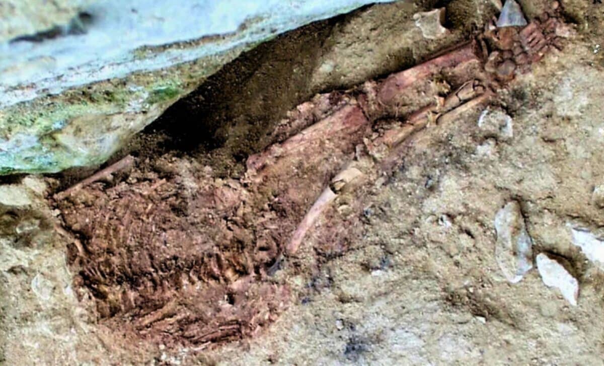 New Dating Study Reveals Truth About 28,000 Year Old Child In Portugal