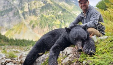 New WA Game Plan Asks WDFW To Consider Moving Bear Season To Avoid Wildlife Viewer Conflicts -