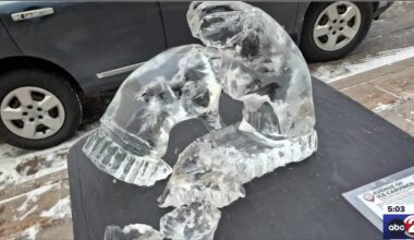Appleton man cited, apologizes for damaging downtown ice sculpture