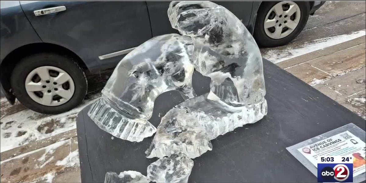 Appleton man cited, apologizes for damaging downtown ice sculpture