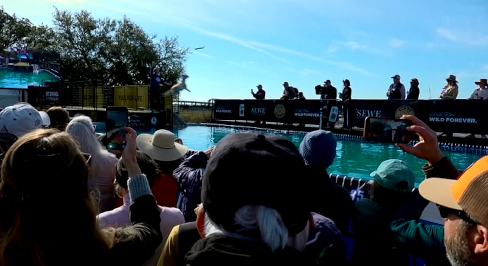 More than 40,000 families and wildlife enthusiasts gathered in Charleston for the annual...