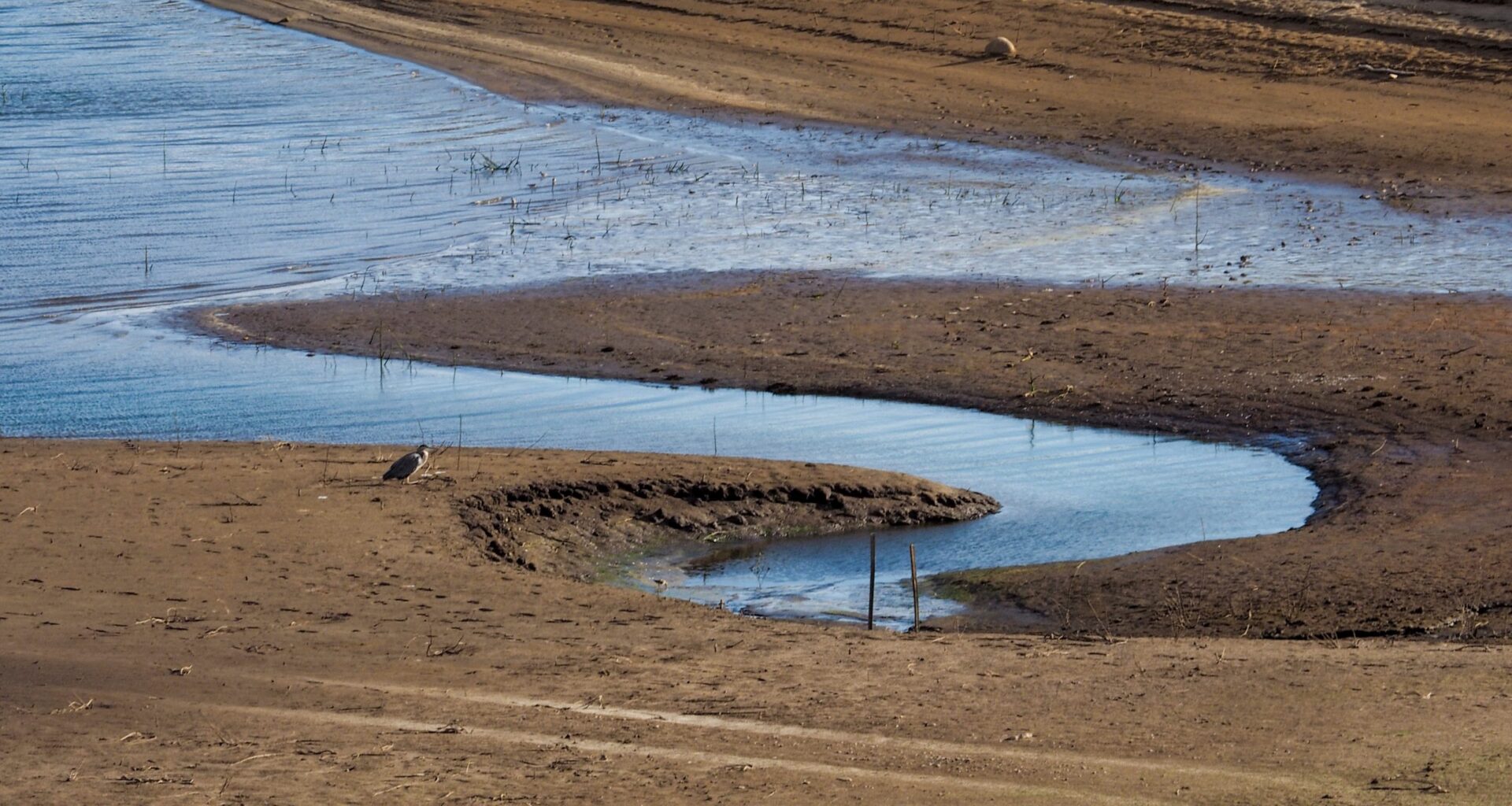 Colorado River negotiations: Could Trump step in?