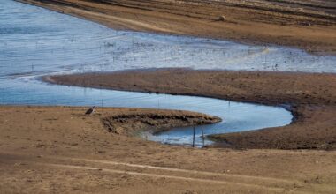 Colorado River negotiations: Could Trump step in?