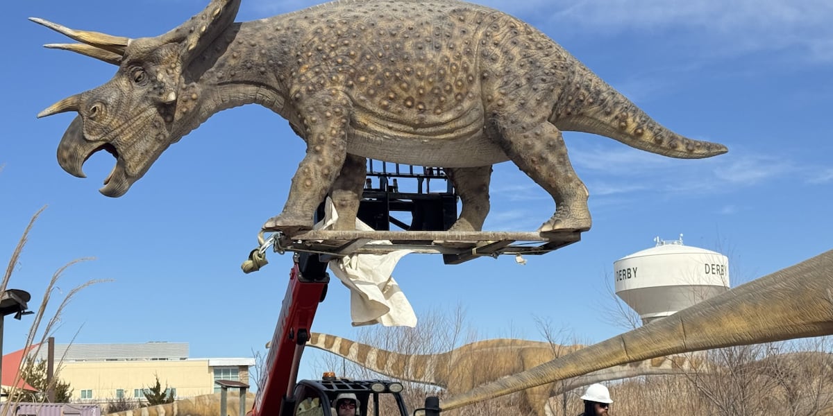 Life-size dinosaur sculptures relocated in Derby ahead of spring season